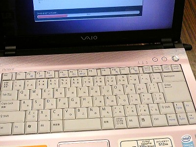 Sony VAIO type F light に Ubuntu 10.04